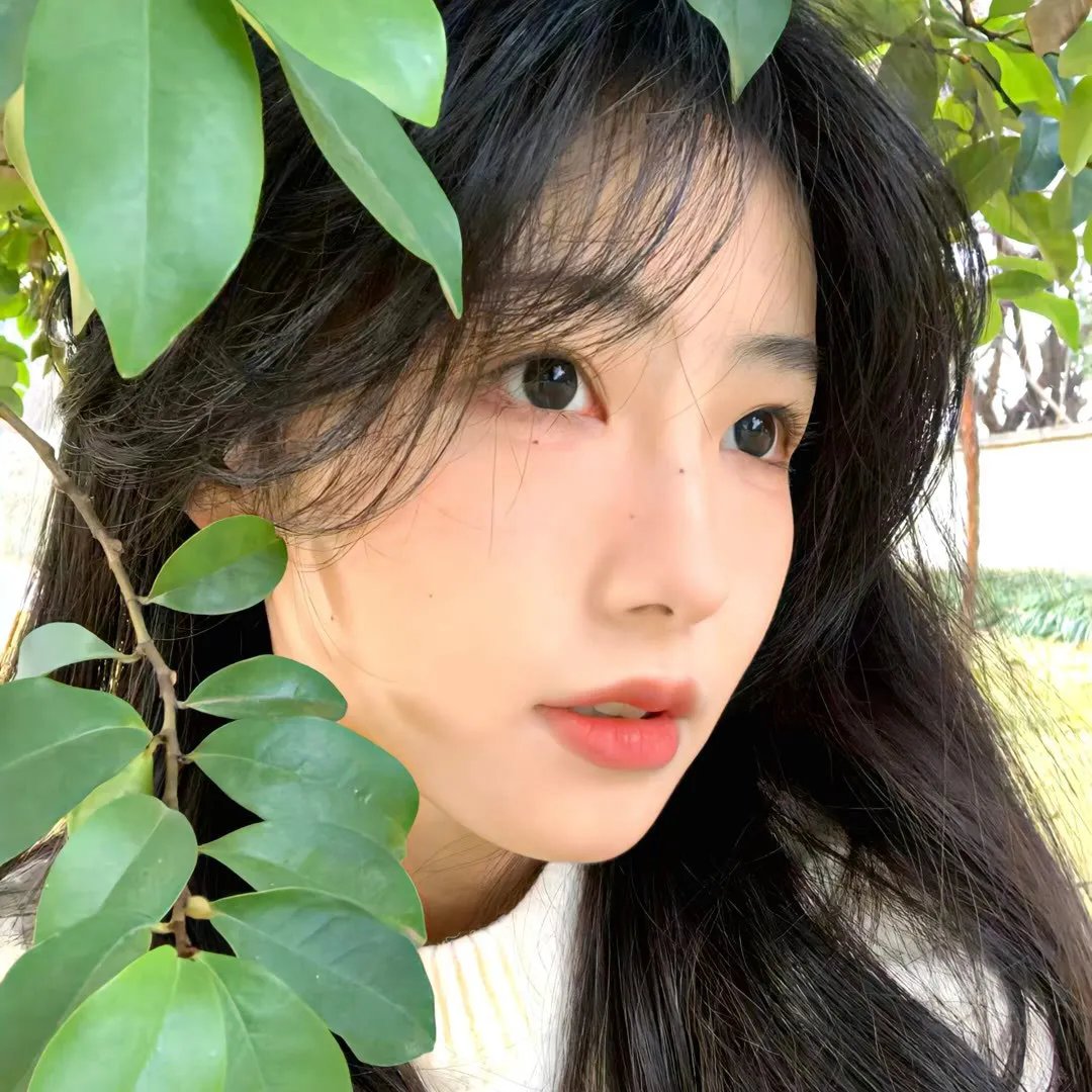 芒果和红色轮椅